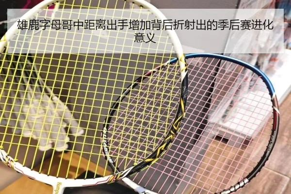 雄鹿字母哥中距离出手增加背后折射出的季后赛进化意义
