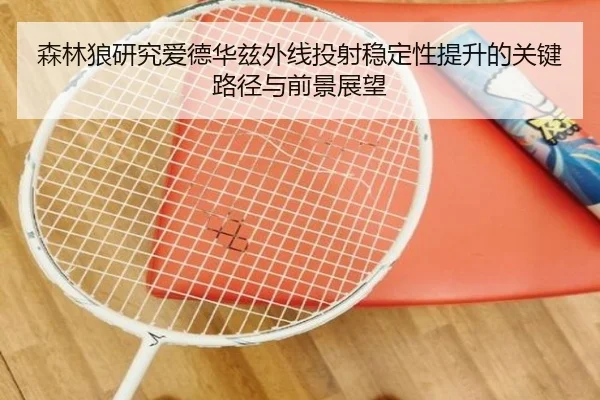 森林狼研究爱德华兹外线投射稳定性提升的关键路径与前景展望