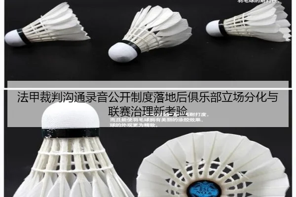 法甲裁判沟通录音公开制度落地后俱乐部立场分化与联赛治理新考验