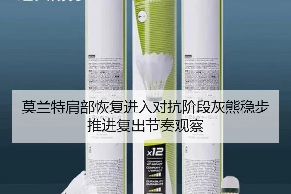 莫兰特肩部恢复进入对抗阶段灰熊稳步推进复出节奏观察